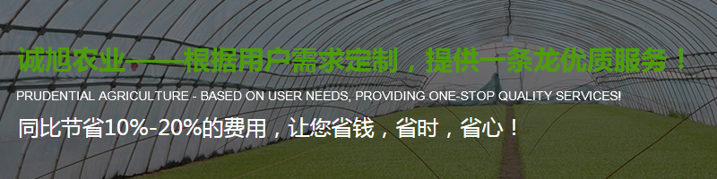 陜西溫室大棚設(shè)計(jì)